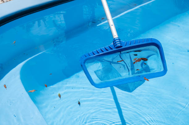 istock Someone using a pool skimmer for removing fallen leaves and debris floating on the surface of the pool. 1593078344