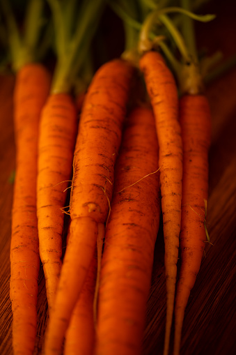 Close up of fresh pulled carrots