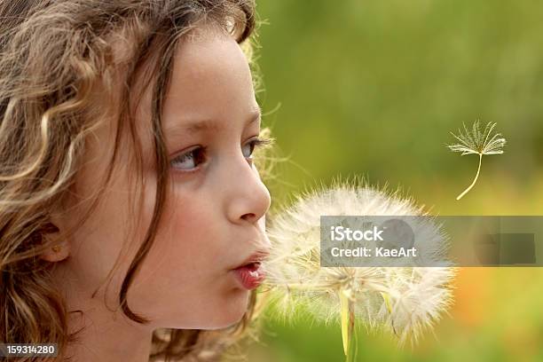 Foto de Desejo De Primavera e mais fotos de stock de Criança - Criança, Dente-de-Leão, Soprar