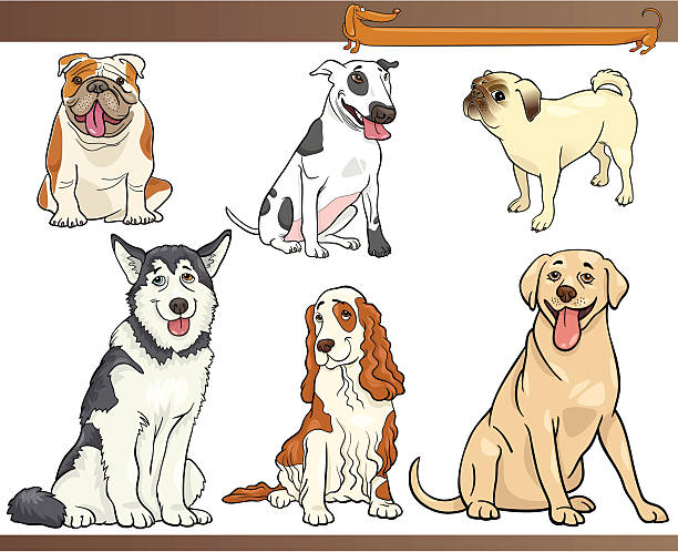 purebred hund cartoon-illustration-set - dog malamute sled dog bulldog stock-grafiken, -clipart, -cartoons und -symbole