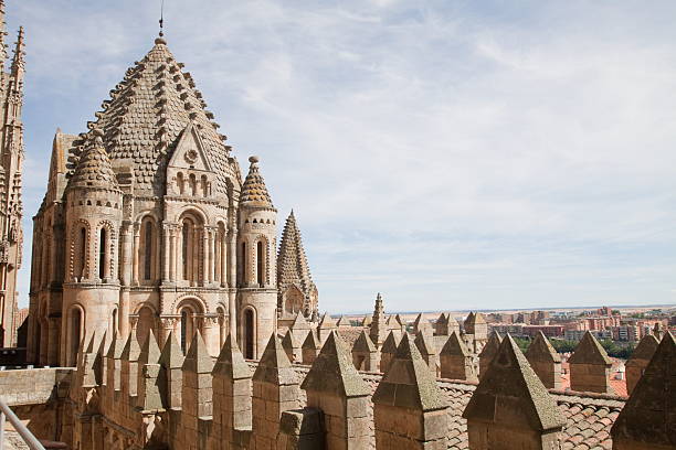 istock Old Cathedral of Salamanca 159315729