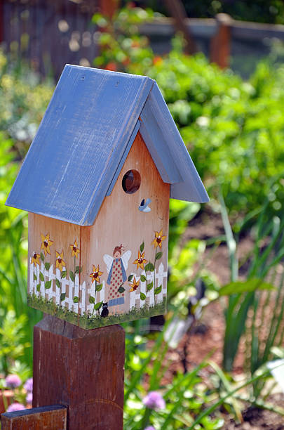 istock Decorative birdhouse in garden 159317070