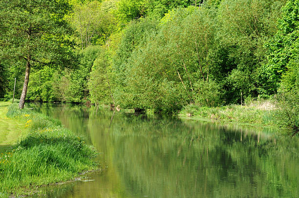 istock Andelle river in Radepont 159317317