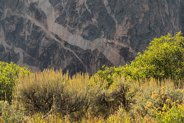 black canyon - national recreation area - fotografias e filmes do acervo