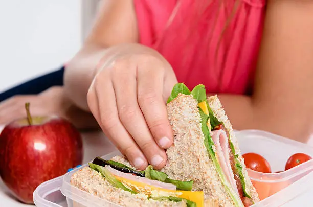 Close up on pair of young girl's hands removing a healthy wholesome wholemeal bread ham sandwich from her lunch box during breaktime