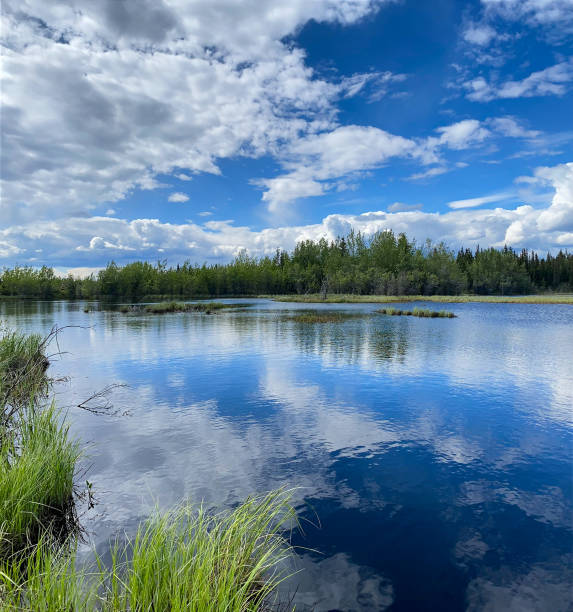 istock Reflecting clouds on a mirror pond in Alaska 1593222713