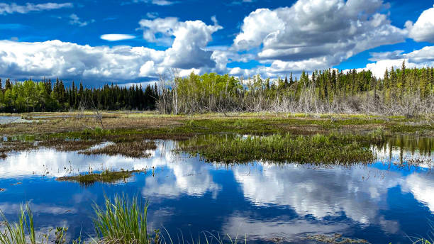 istock Reflecting clouds on a mirror pond in Alaska 1593222717