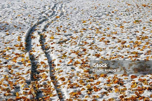 Narty Biegowe Track Na Śniegu W Zimie - zdjęcia stockowe i więcej obrazów Bez ludzi - Bez ludzi, Biały, Chłodny