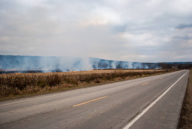 Controlled burn in New York of agricultural field with road stock photo