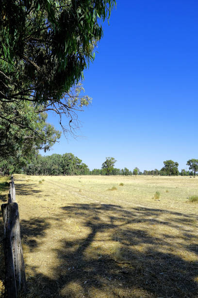 istock Lower Moira, Victoria, Australia 1593278497