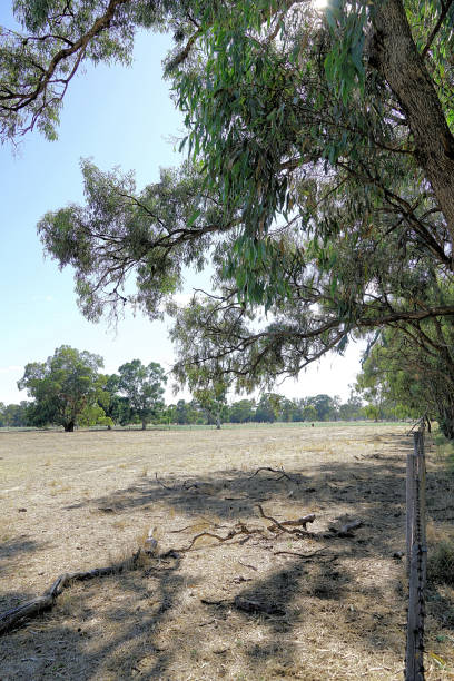 istock Lower Moira, Victoria, Australia 1593289400