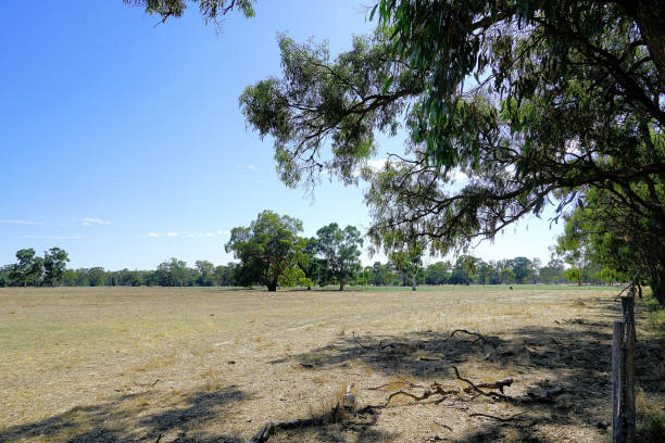 istock Lower Moira, Victoria, Australia 1593297712
