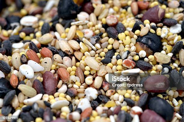 혼합됨 Rice 조류-곡물에 대한 스톡 사진 및 기타 이미지 - 조류-곡물, 퀴노아, 0명