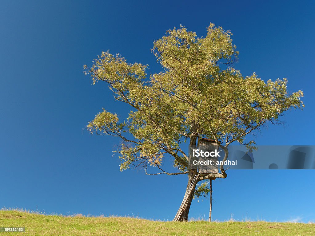 tree cabin on a hill Forecasting Stock Photo