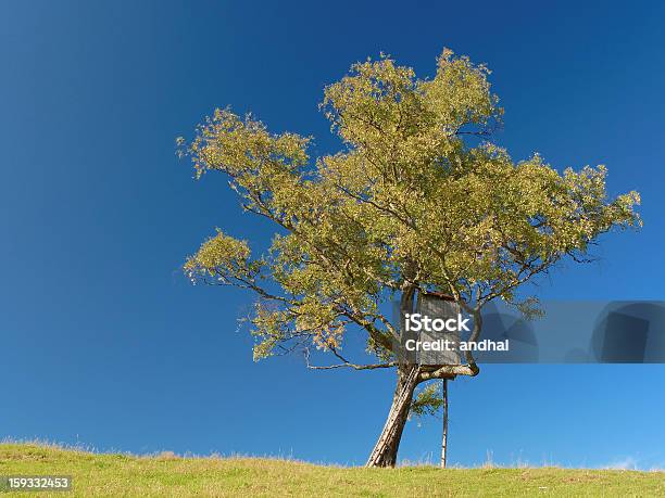 Tree Cabin On A Hill Stock Photo - Download Image Now - Forecasting, Tree House, Animals Hunting