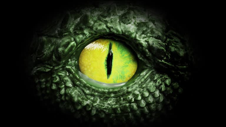 Dragon eye close up