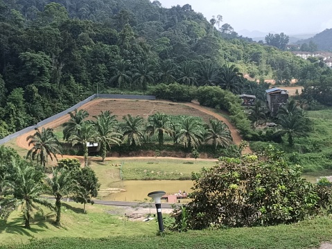 Talula hill farm view in kluang, johor, malaysia