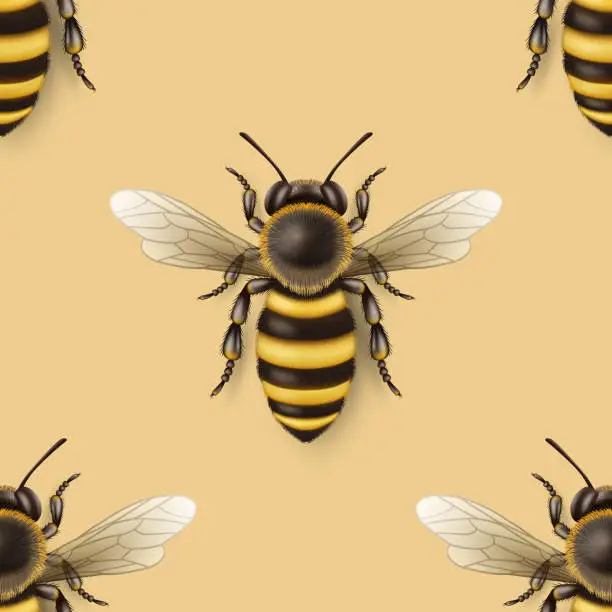 Vector illustration of Vector Seamless Pattern with 3d Realistic Detailed Honey Bee Icon Closeup on Yellow Background. Queen Honeybee Design Template, Vector Illustration of Bee in Macro, Top View