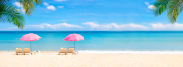 istock Tropical beautiful white sand beach with sun bed and blue sky background, Summer vacation concept and copy space, Banner panorama 1593393152