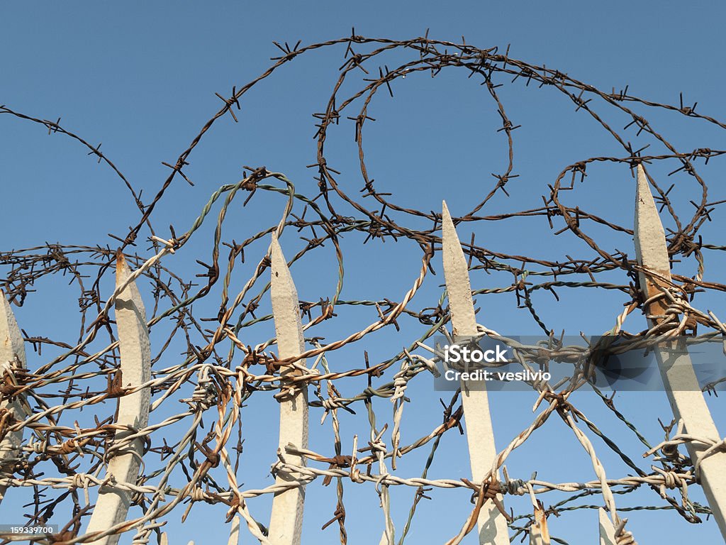 Alambre de espino - Foto de stock de Afilado libre de derechos