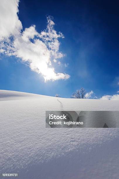 Photo libre de droit de Piedmarque Sur Les Collines Enneigées banque d'images et plus d'images libres de droit de Alpes européennes - Alpes européennes, Arbre, Blanc