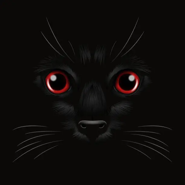 Vector illustration of Vector 3d Realistic Red Cats Eye of a Black Cat in the Dark, at Night. Cat Face with Yes, Nose, Whiskers on Black. Cat Closeup Look in the Darkness. Front View