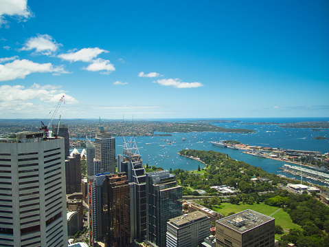 SkyFeast Sydney Tower, Sydney, Australia - Jan 26 2022 : A regatta of boats and yachts sails on the harbour to celebrate Australia Day overlooking the Botanical Garden and the North Sydney Head