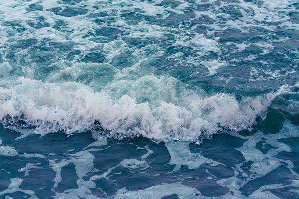 istock Wave of the sea on the sandy beach 1593461670