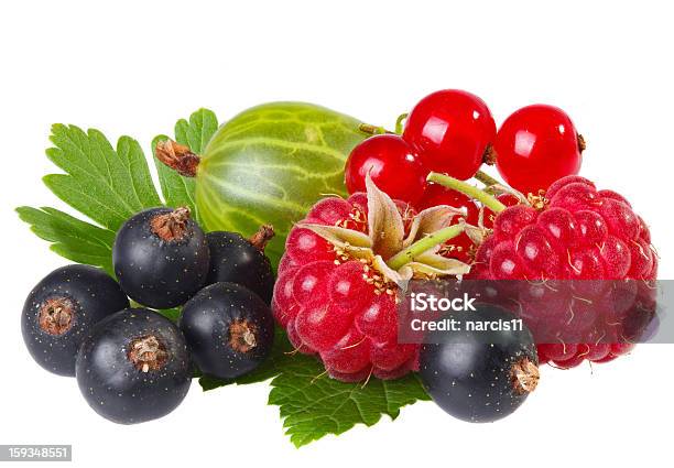 Frutti Di Bosco Freschi Su Sfondo Bianco - Fotografie stock e altre immagini di Alimentazione sana - Alimentazione sana, Bianco, Cibo