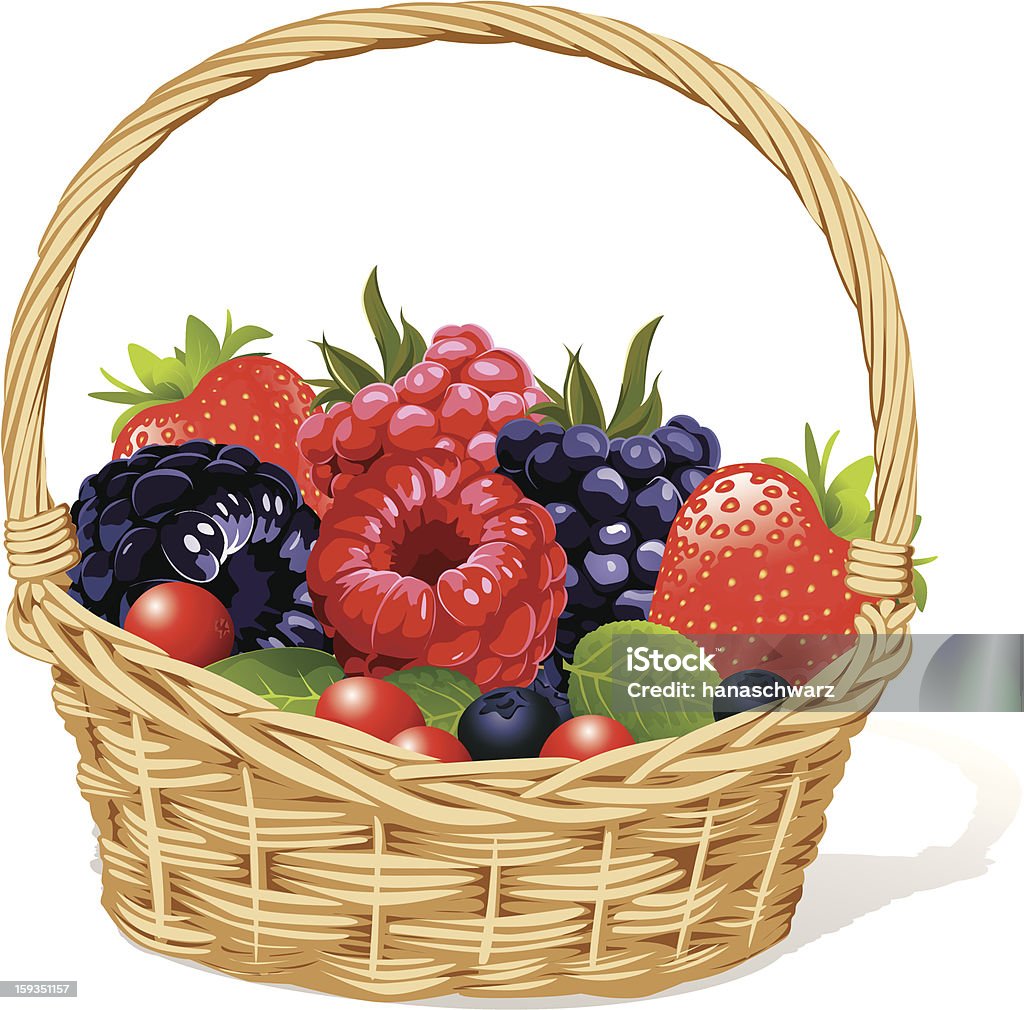 basket with berries basket with berries - raspberries, strawberries, cranberries and blackberries isolated on white background Basket stock vector