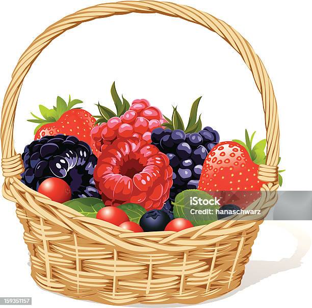 Basket With Berries Stock Illustration - Download Image Now - Basket, Berry Fruit, Blackberry - Fruit