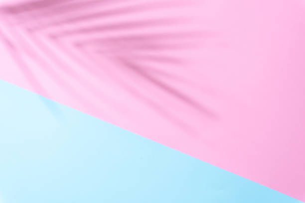 istock Light blue and pink summer colors background with palm shadow 1593526256
