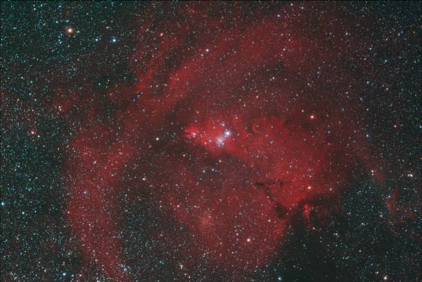 istock NGC2264 Cone Nebula and the Christmas Tree Cluster in Monoceros 1593560120