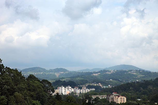 istock View of a Dagomys 159356838