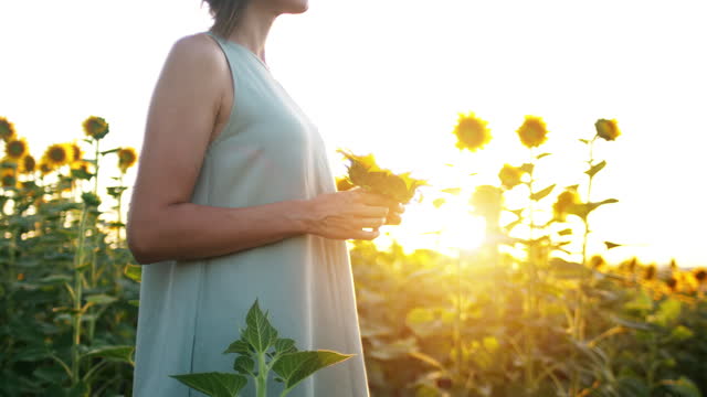 Young woman standing in a sunflower field and looking away