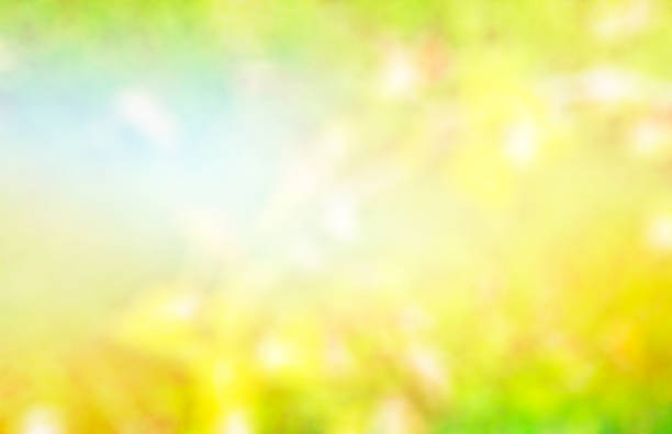 istock ellow, white, green, and softlight abstact background Blur colorful abstract for design with copy space for text 1593589955