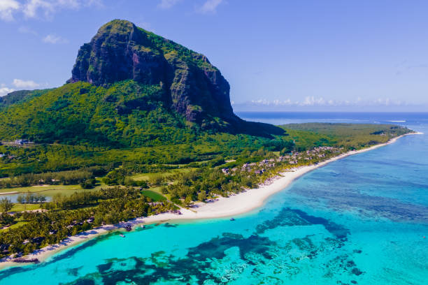 istock Le Morne beach Mauritius Tropical beach with palm trees and white sand blue ocean 1593610703