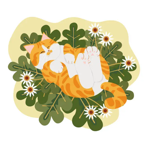 Vector illustration of A cute orange cat lying on its stomach on the grass in the flower garden. Flat vector item isolated on white background.