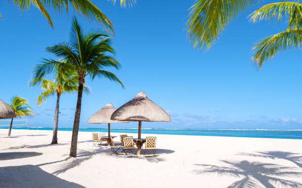 istock Le Morne beach Mauritius Tropical beach with palm trees and white sand blue ocean 1593627864
