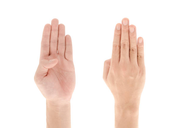 istock Hand gesture Four fingers up isolated on white background, Clipping path Included. 1593628342