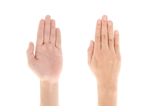 istock Asian hand with Five fingers up or Touch hand gesture isolated on white background, Clipping path Included. 1593628343