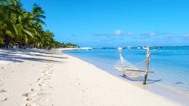 Le Morne beach Mauritius Tropical beach with palm trees and white sand blue ocean and beach beds with umbrellas, sun chairs, and parasols under a palm tree