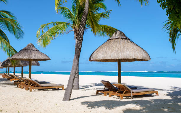 istock Le Morne beach Mauritius Tropical beach with palm trees and white sand blue ocean 1593628705