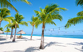 Le Morne beach Mauritius Tropical beach with palm trees and white sand blue ocean