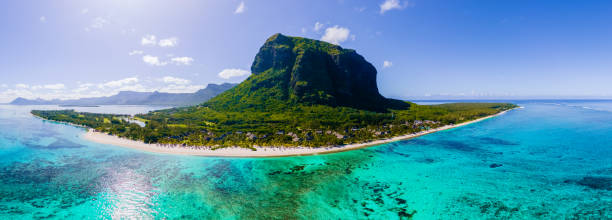 istock Le Morne beach Mauritius Tropical beach with palm trees and white sand blue ocean 1593649274