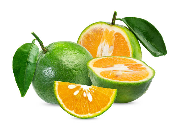 istock Green Orange Fruits with Leaves 1593654010