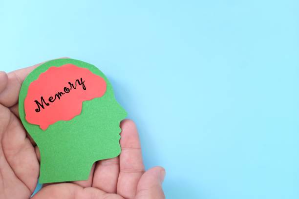 istock Take care and improve of memory concept. Hand holding human head profile with word text on brain. 1593654014