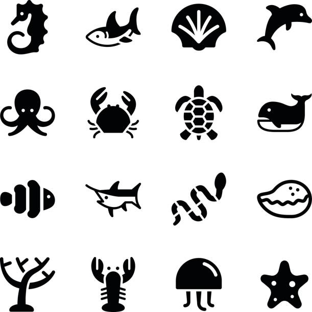 해양 생은 아이콘 - computer icon symbol sea life prepared crab stock illustrations