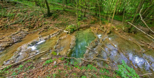 istock Waterfall in Eastern Serbia with tufa limestones 1593710942