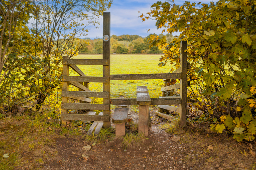 Horse Fence Snakes its Way Over the Hill in rural Kentucky